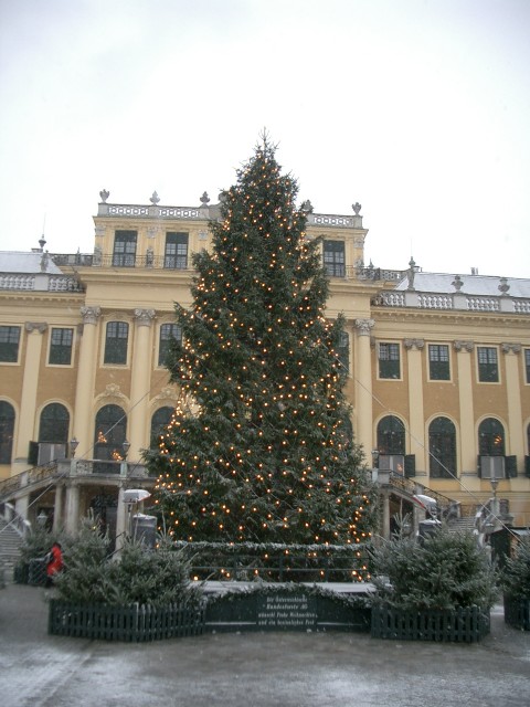 シェーンブルン宮殿 クリスマスツリー