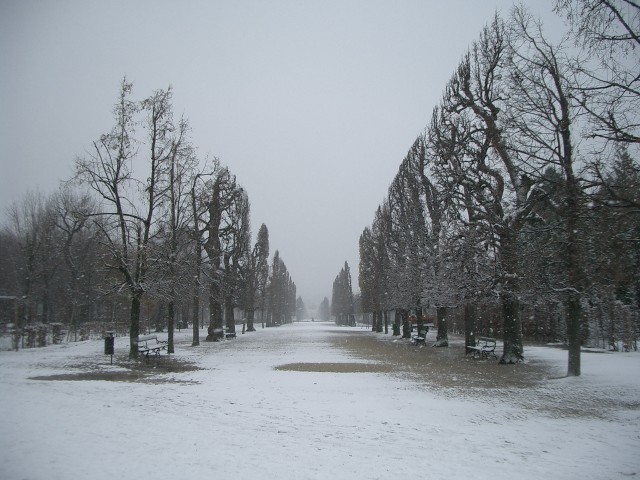 シェーンブルン宮殿 庭園